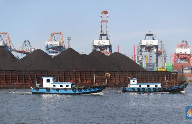ESDM Tetapkan Harga Batu Bara HBA Awal Mei 2025 Naik Tipis